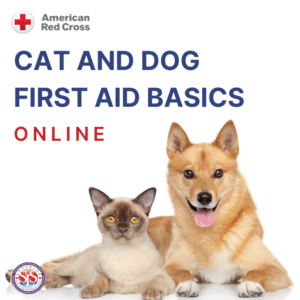 Cat and Dog First Aid-OL