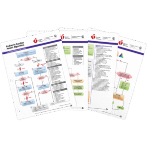 PALS Emergency Crash Cart Cards (set of 4)