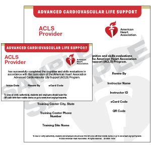 2025 ACLS Provider eCard